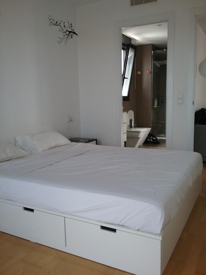 Lovely 2 Bedroom Terrace Wifi Parking Ac Heating Attic Valencia Kültér fotó